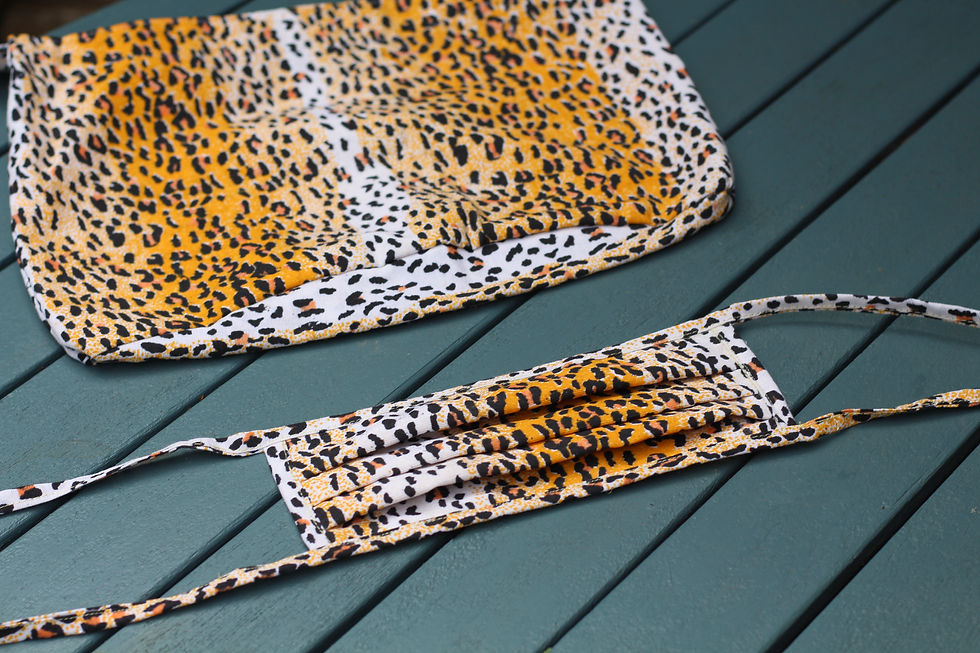 Leopard bag and mask