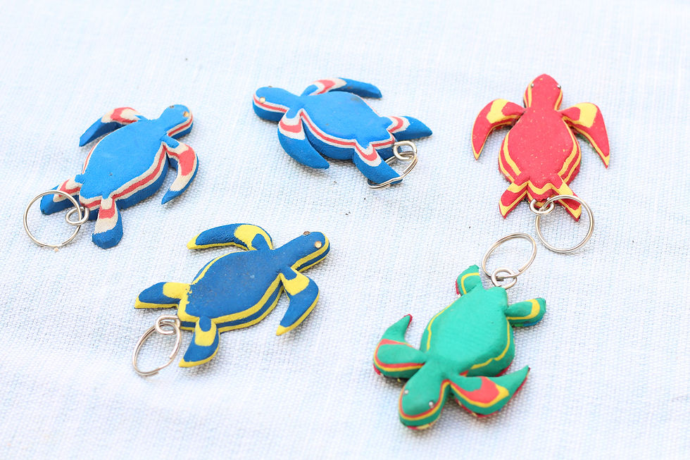 Turtle