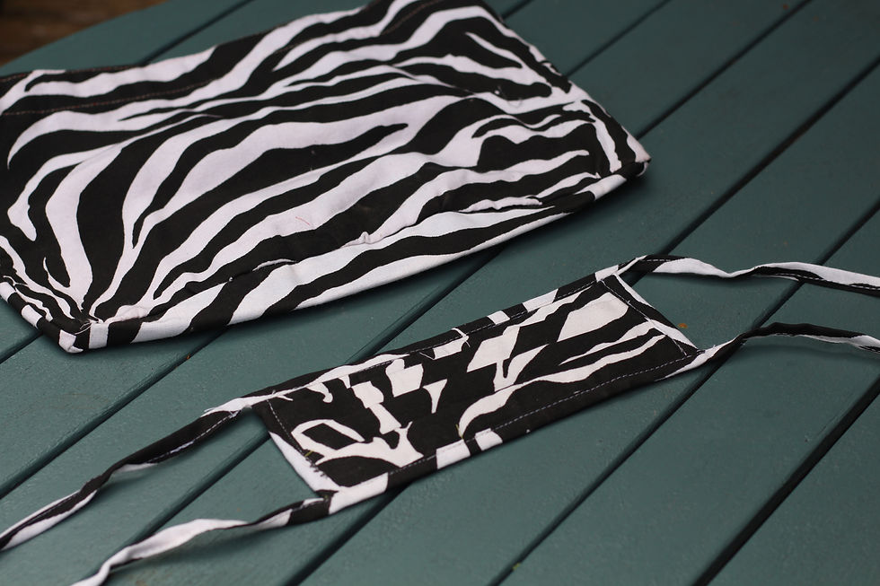 Zebra bag and mask
