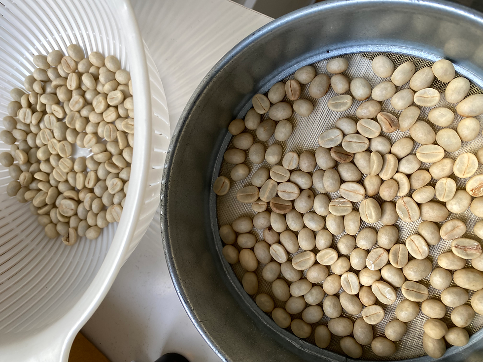 縮圖：「港啡講啡」 x 坪洲天然農莊_品嚐本地種植咖啡工作坊