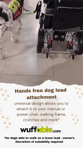 Wheelchair Dog Lead Attachment Wuffable