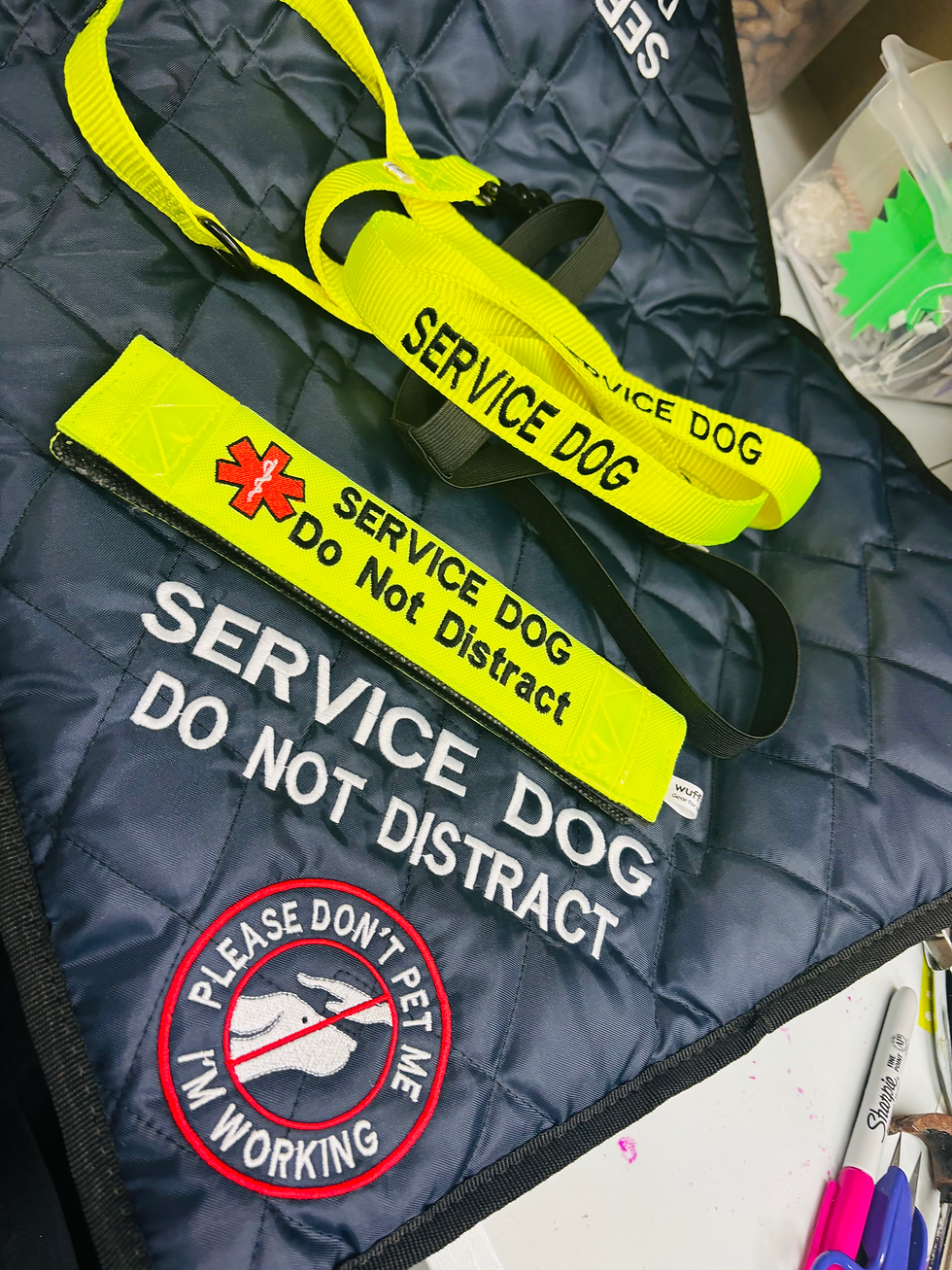 Thumbnail:  Please dont pet hand Assistance Dog Settle Mat with embroidery