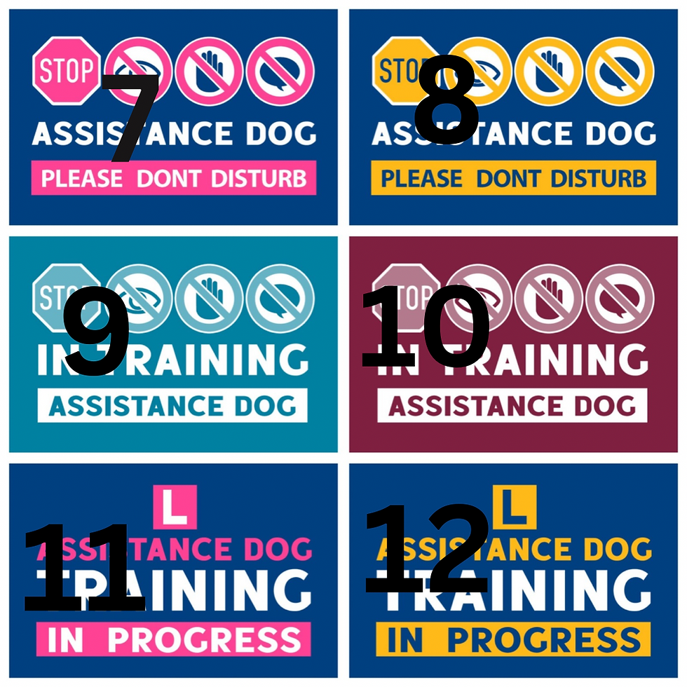 Thumbnail:  Assistance dog PATCH 6X10CM WITH VELCRO BACKING