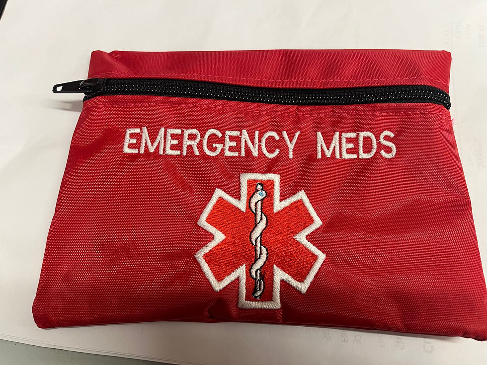 Thumbnail: Custom Medication bag 