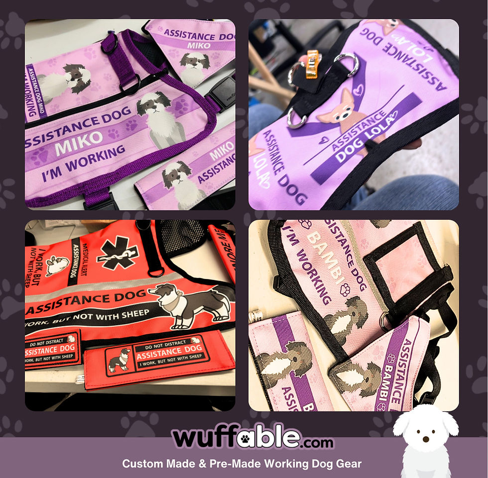 Thumbnail: CUSTOM PRINTED VEST