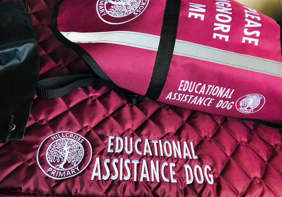 Thumbnail: Custom Embroidered Therapy Dog Vest