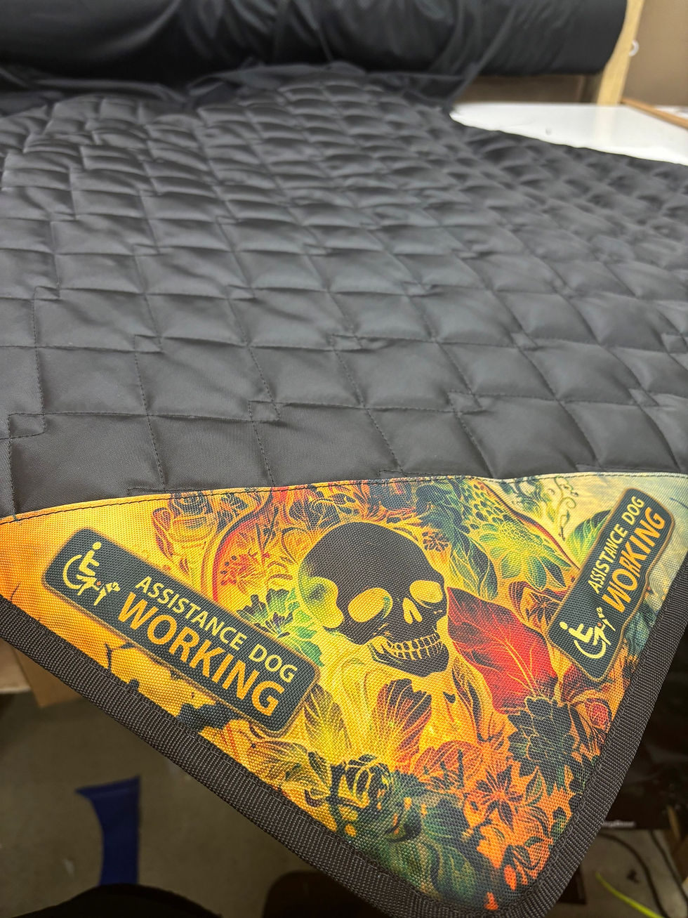 Skulls settle mat Wuffable