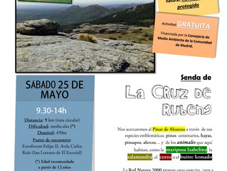 Ruta a la Cruz de Rubens