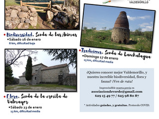 Volvemos a Valdemorillo