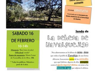 La dehesa de Navalquejigo. Ruta en torno al agua