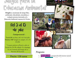 Curso de Verano - Educación Medioambiental