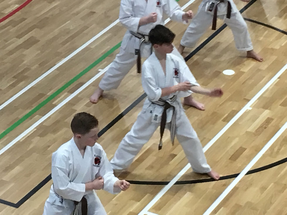 Kaizen Karate Club