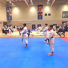 IMG_8754_edited.jpg