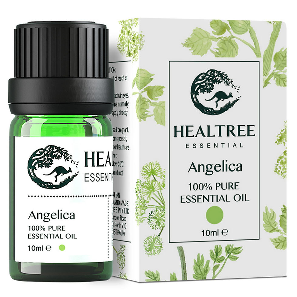 Angelica Essential Oil