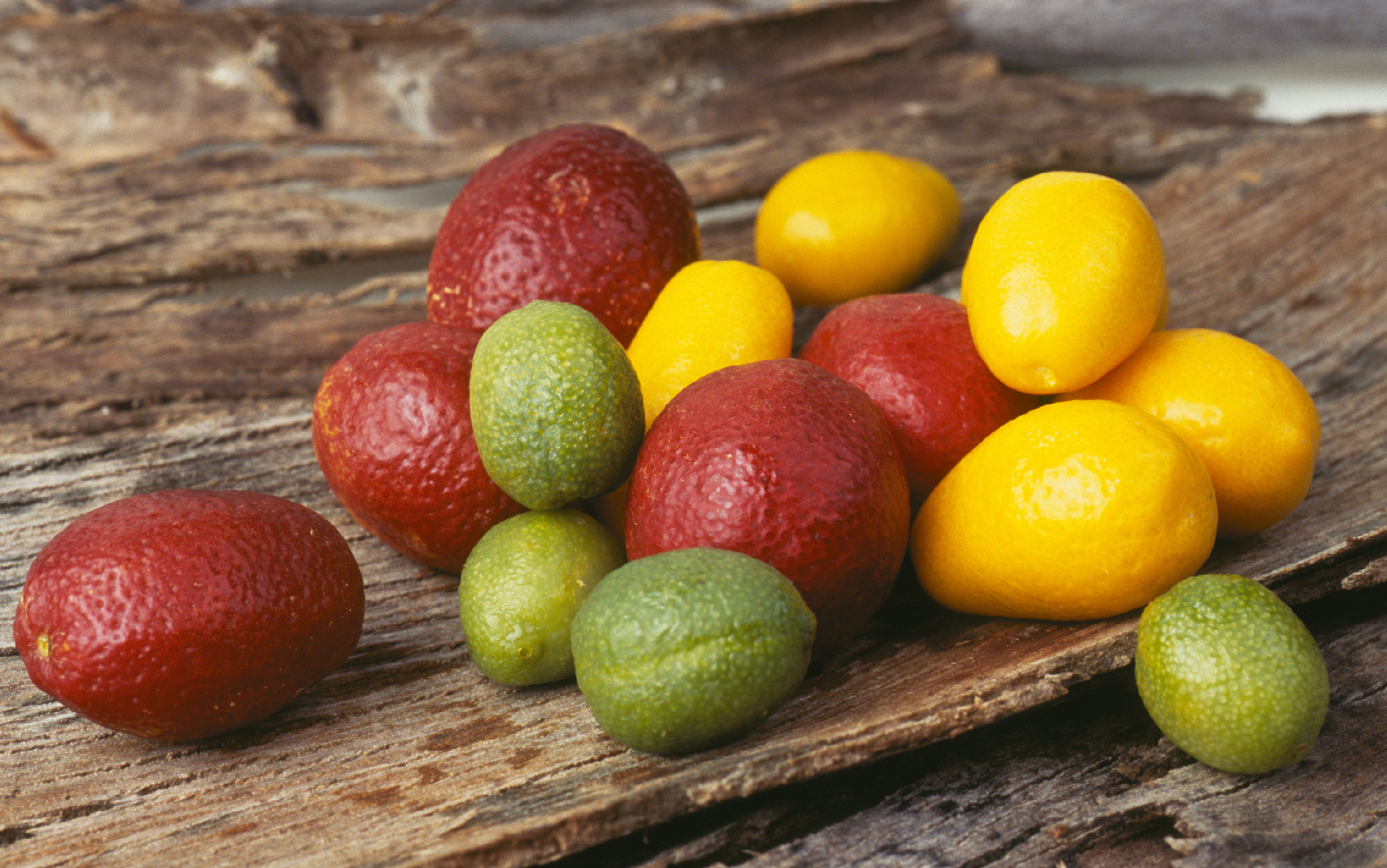 Native Finger Limes