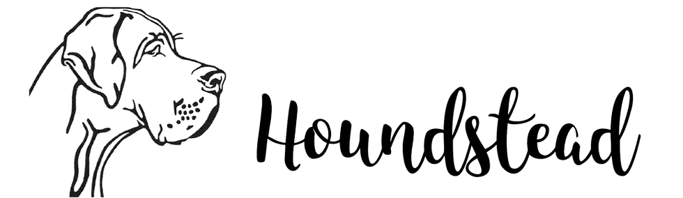 logo transparent.png