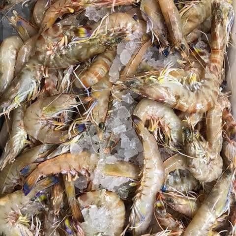 Thumbnail: Large Tiger Prawns