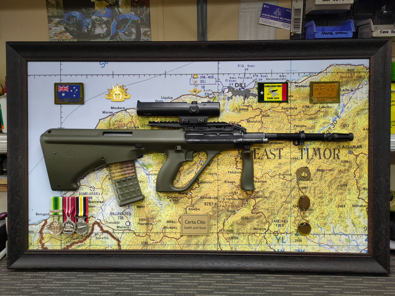 F88A1 TIMOR