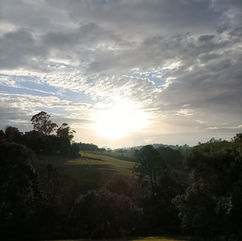 Leesa Hammond - Sunset.jpg