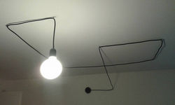 13254512_10205210828184821_2062381408201811095_n