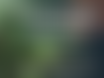 Manufacturing Spotlight: Werbel Microwave