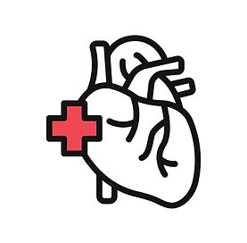 Support cardiovascular health through TCM – restore energy, calm palpitations, and improve circulation