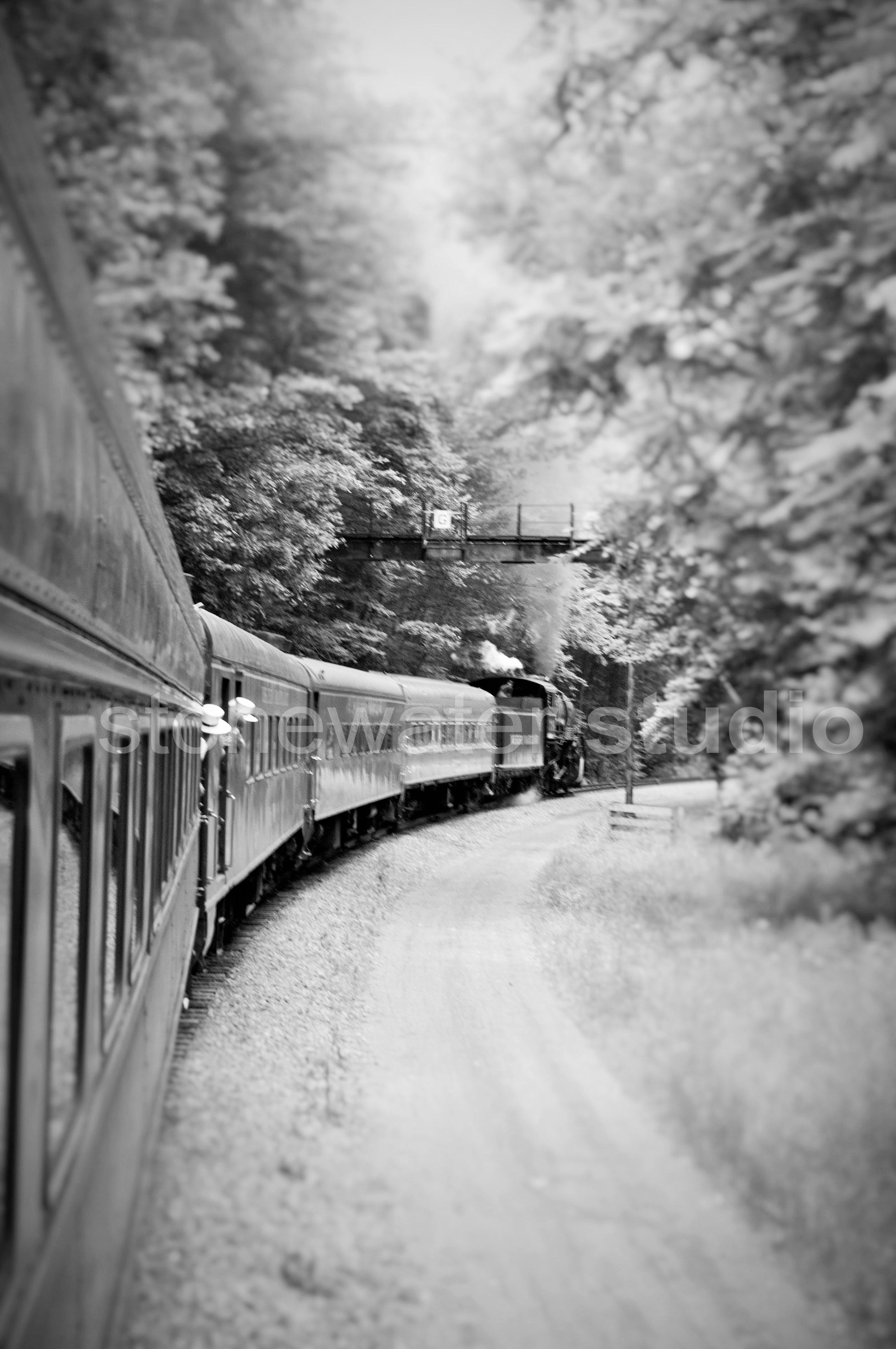 journey b&w