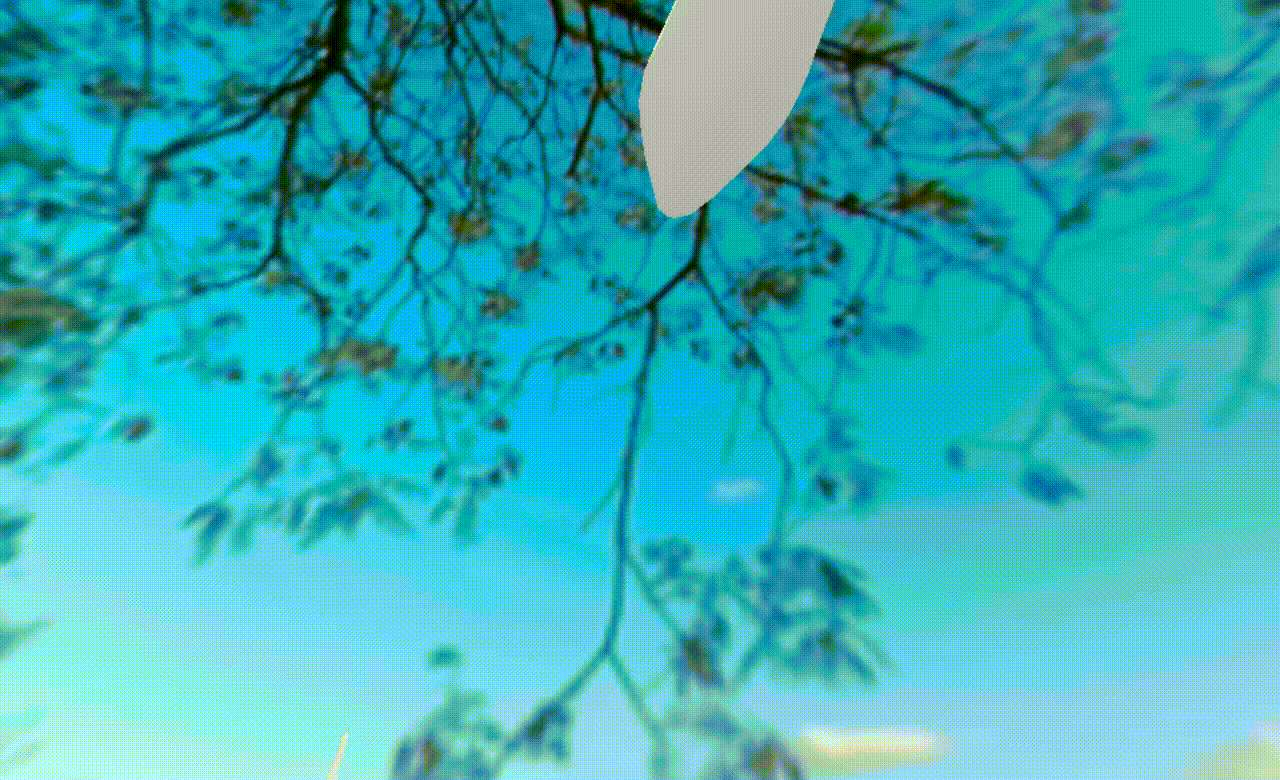 l229.gif