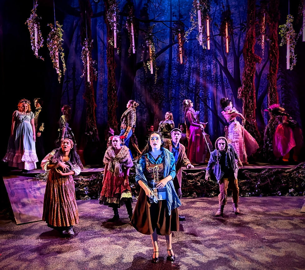 INTO THE WOODS