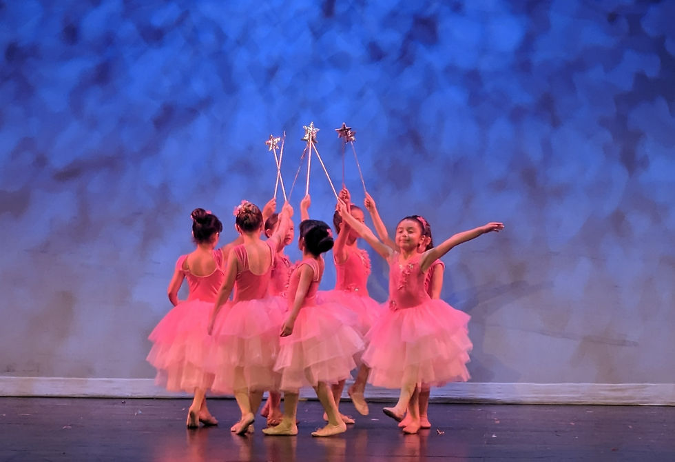 DANCE CONCERT 2023