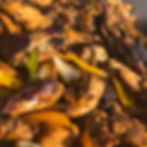 Grilled Jerk Chicken