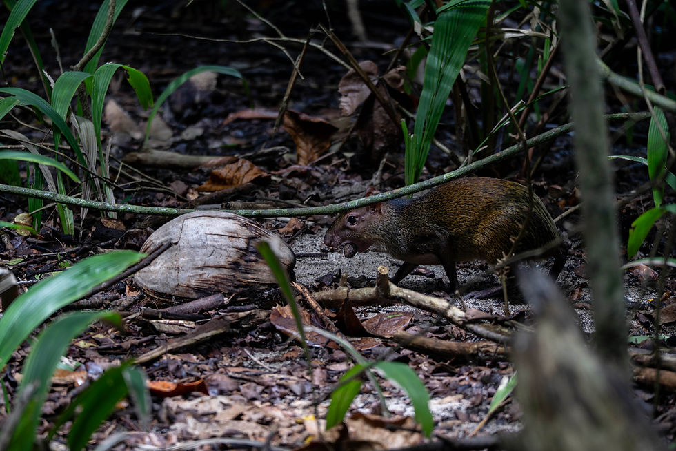 _DSC3676-Enhanced-NR