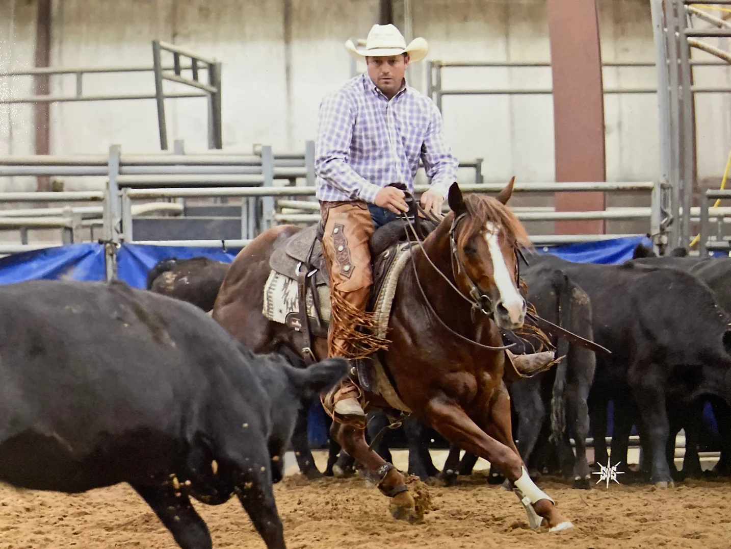 Big Sky Horse Sales no line-07 (1).png