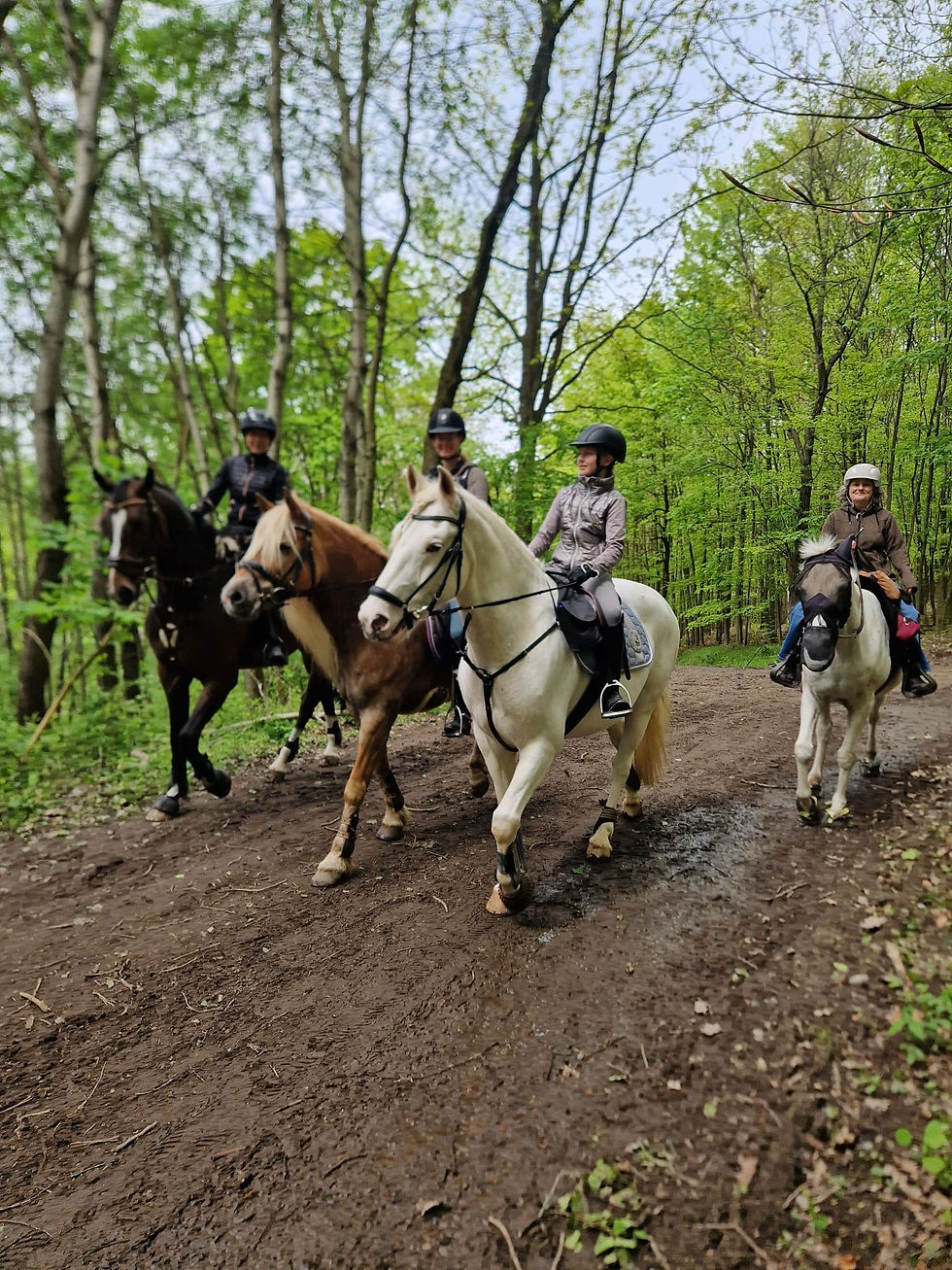 d1bac34c-667b-45c3-8c45-c53a5e19d4c1