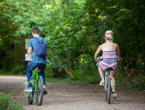 theotherkev-bicycle-4358893_1920.jpg