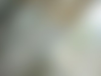 恋待蕾 ーこいまちつぼみー