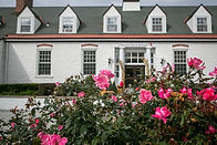 Pink roses in the foreground with a white building labeled "Church Farm School" in the background, displaying a calm, inviting mood.