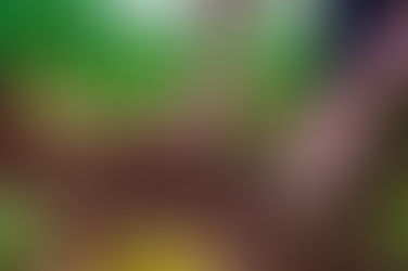 Creating Sustainable Solutions for Social Change and Environmental Preservation