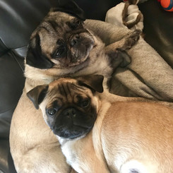 Paul and Suki.jpeg