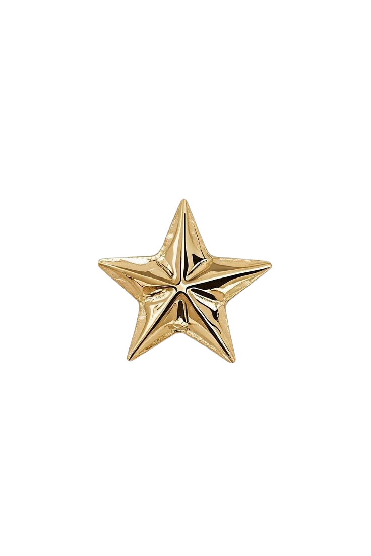 Golden celestial star ✨_edited.png