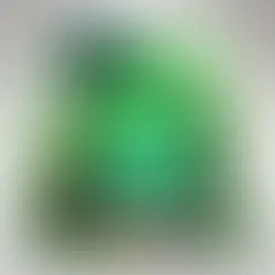 Defying Gravity: How Growth Mindset, Failing Forward, and COVA Propel My Learning to New Heights 