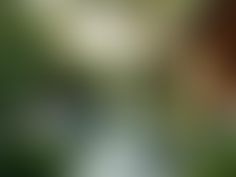 Reset Your Mind and Body with Luminawell's Wellness Programs