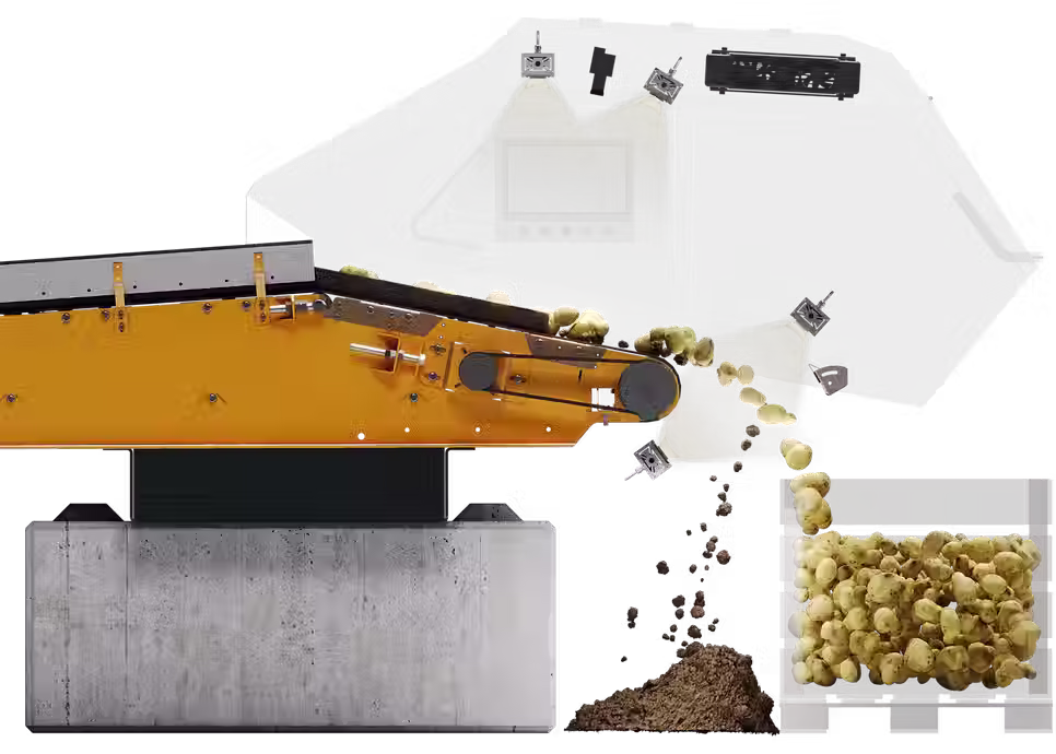 Optical sorter separating potatoes from soil.