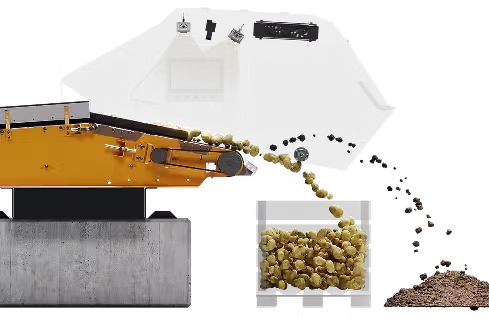 Optical sorter separating potatoes from soil.
