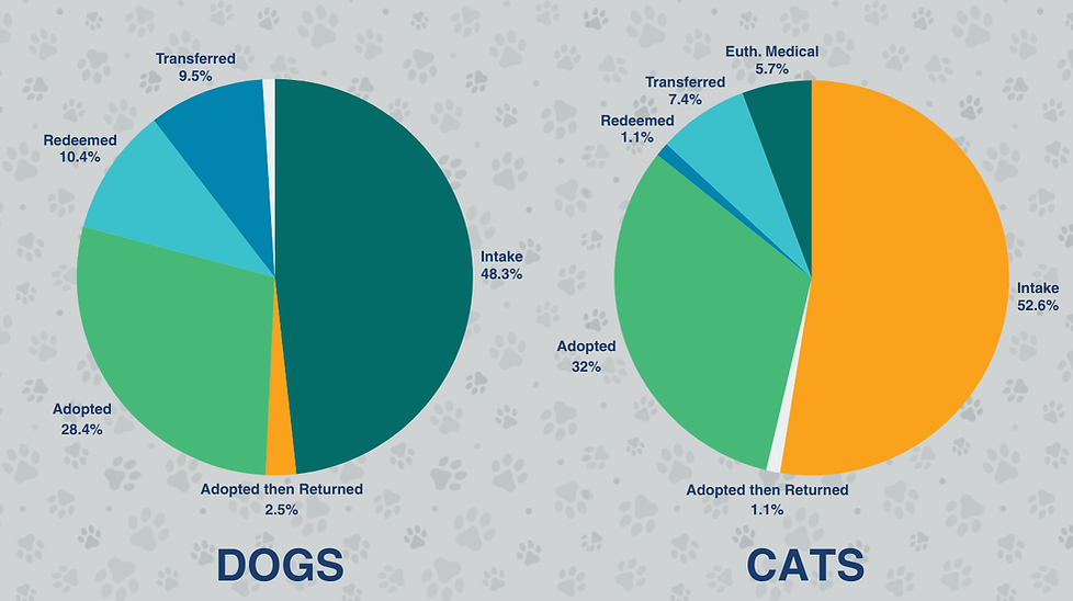 Feb 2026 Pie Chart.png