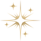 Iso Gold white Star.png