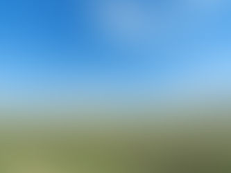 Why can’t Native Americans help themselves?