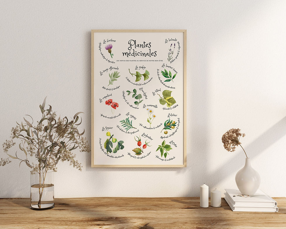 Miniature : Affiche les plantes médicinales