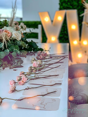 XV REGINA RENTA Y DECORACION VINTAGE  (3).JPEG