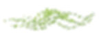 fluttering leaves.jpg
